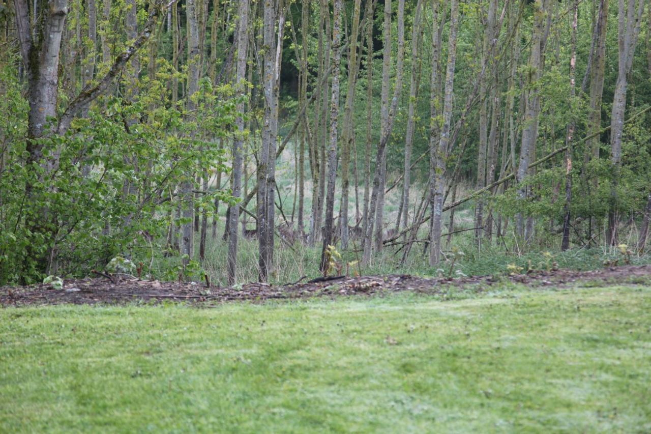 Chalet Forsthof Everstorf Grevesmuehlen Kültér fotó