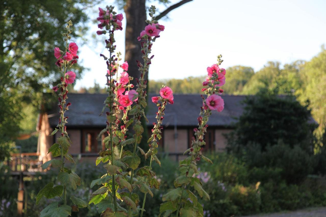 Chalet Forsthof Everstorf Grevesmuehlen Kültér fotó