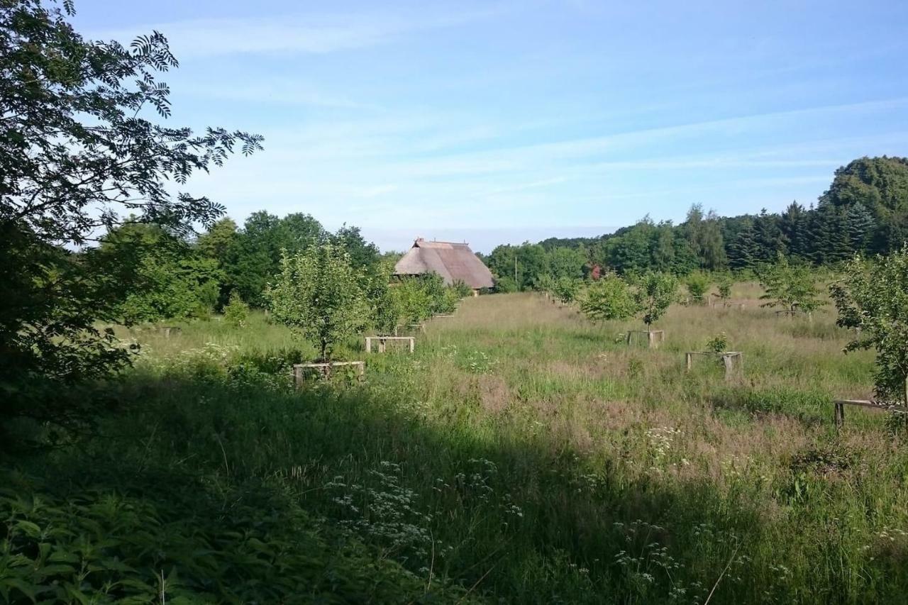 Chalet Forsthof Everstorf Grevesmuehlen Kültér fotó