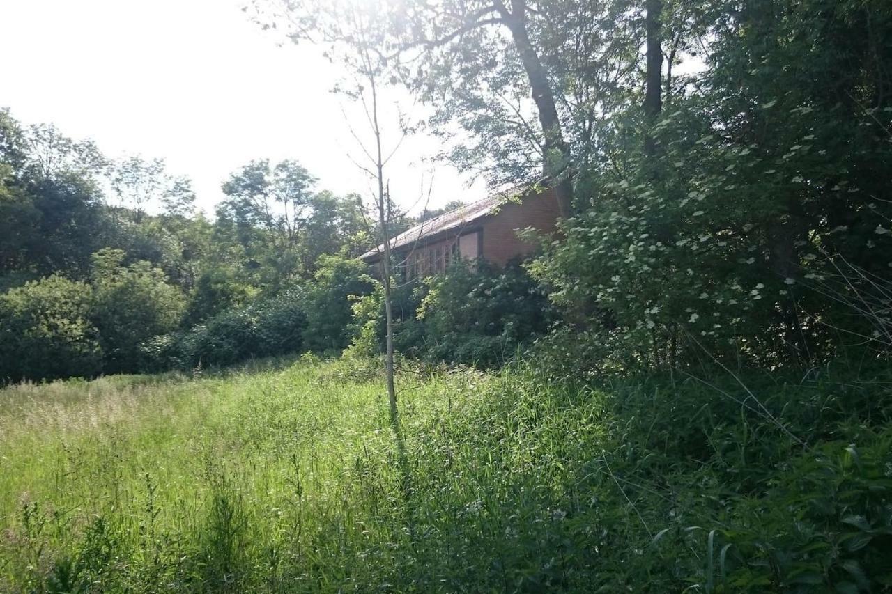 Chalet Forsthof Everstorf Grevesmuehlen Kültér fotó